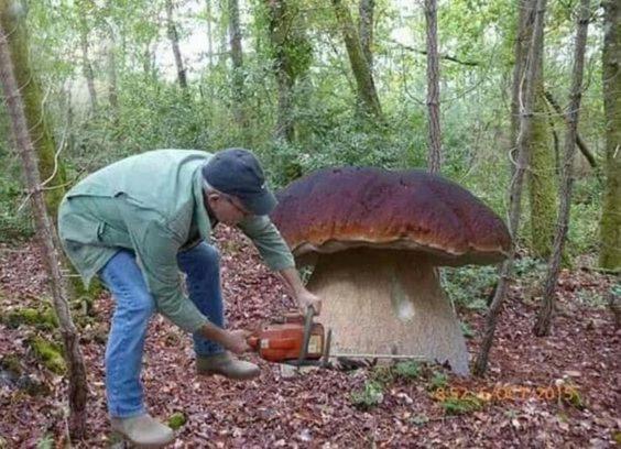 Borne Militaria Wygodne Mieszkanei Dla 5 Osob ボルネ・スリノボ エクステリア 写真